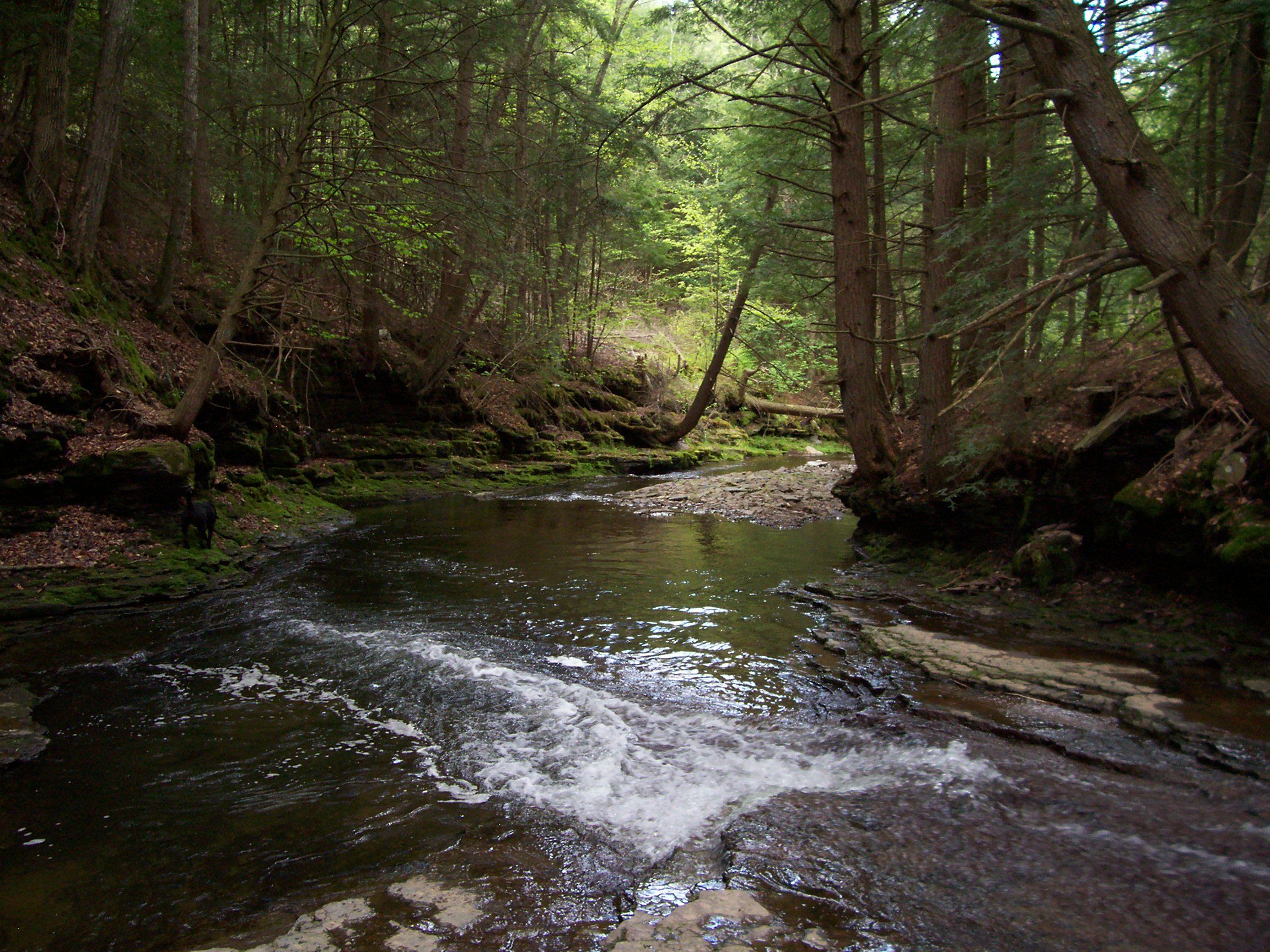 creek